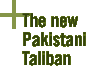 The new Pakistani Taliban